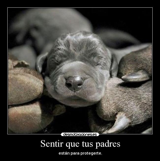 Sentir que tus padres - están para protegerte.