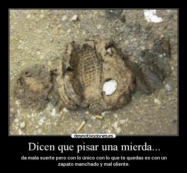 carteles mierda desmotivaciones