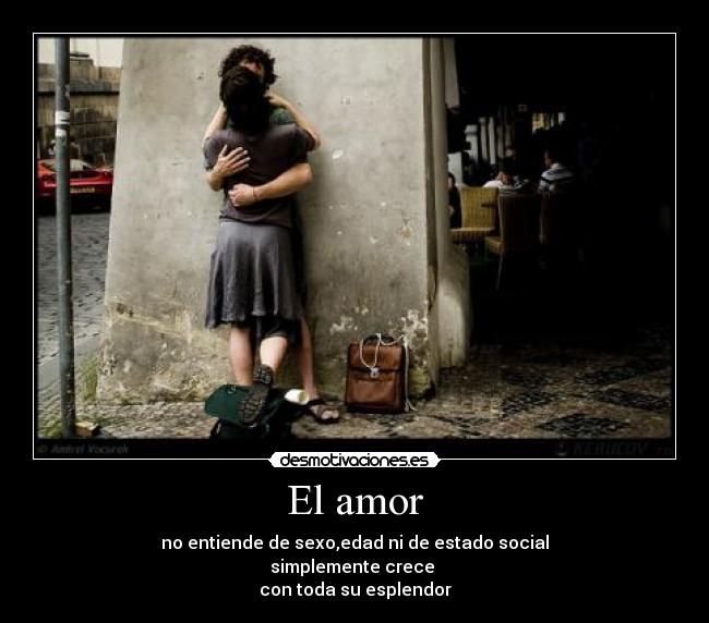 El amor -