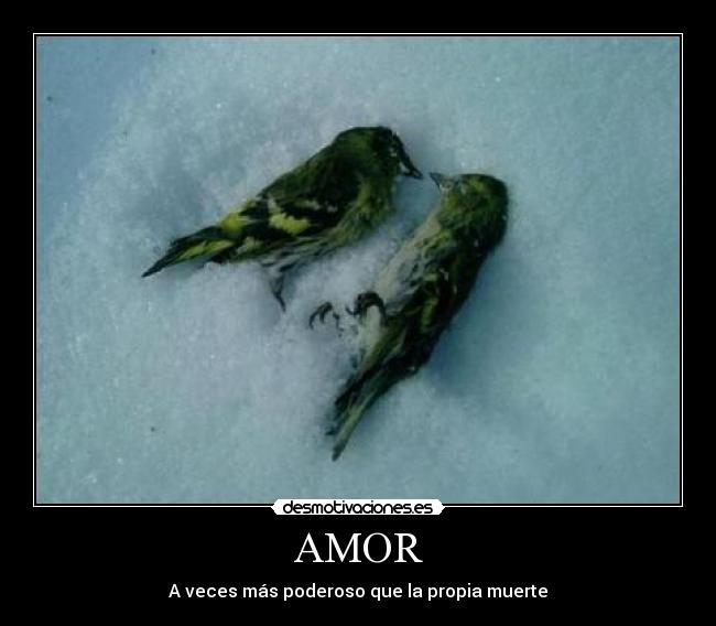 AMOR - A veces más poderoso que la propia muerte