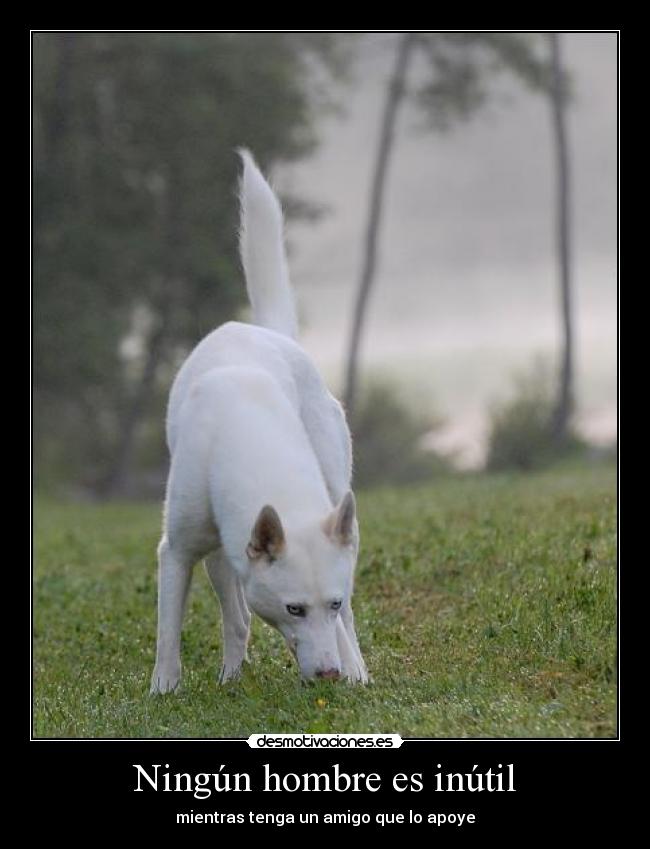 Ningún hombre es inútil - mientras tenga un amigo que lo apoye