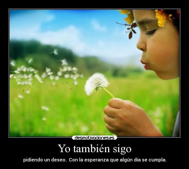 Yo también sigo - 