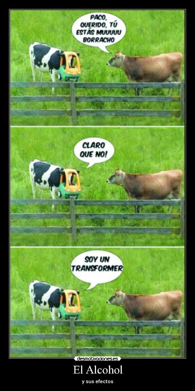 carteles vaca humor desmotivaciones