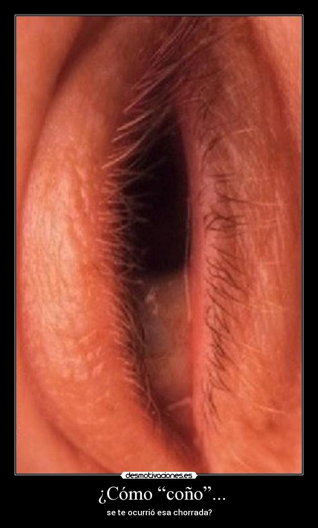  ¿Cómo “coño”... - 