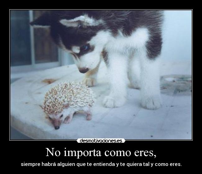 No importa como eres, - 