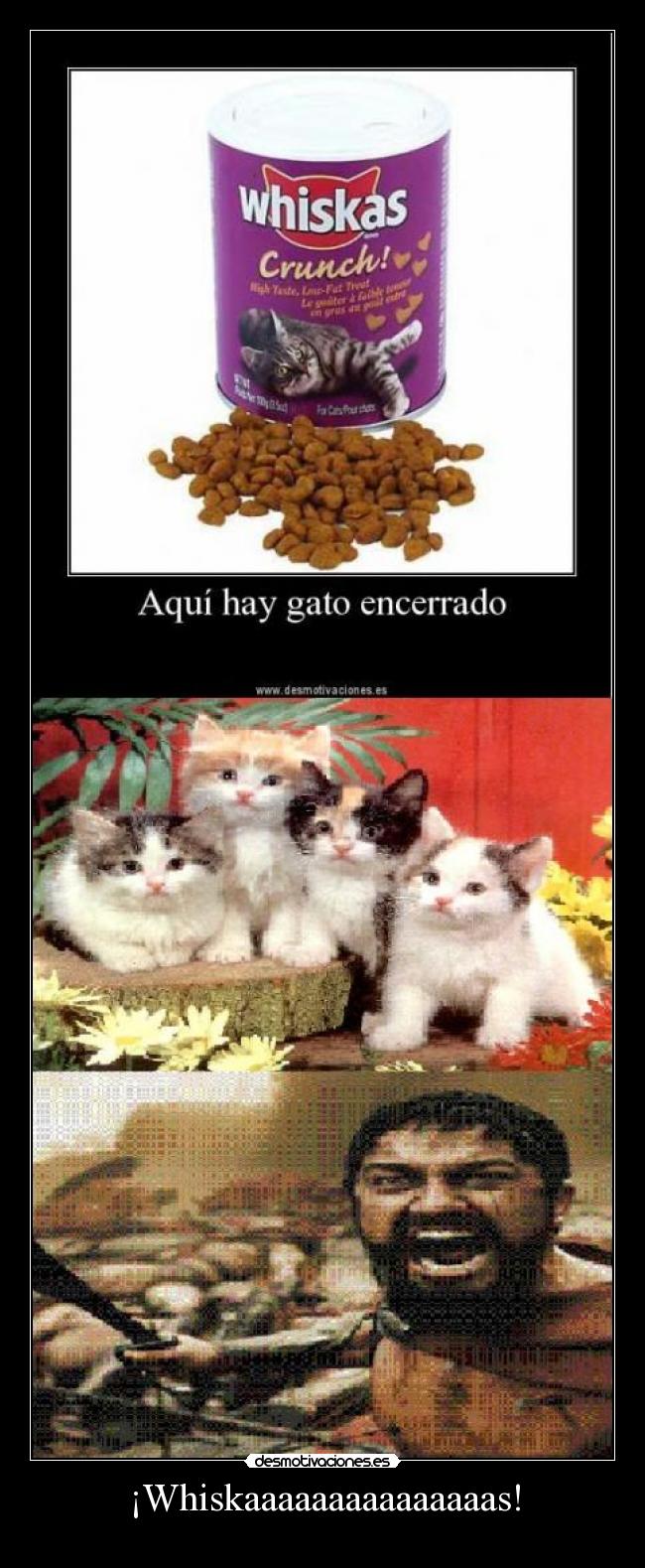 carteles desmotivaciones