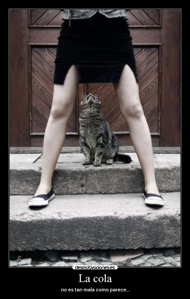 La cola - no es tan mala como parece...