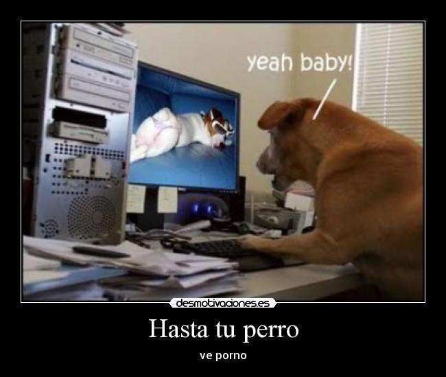 Hasta tu perro -