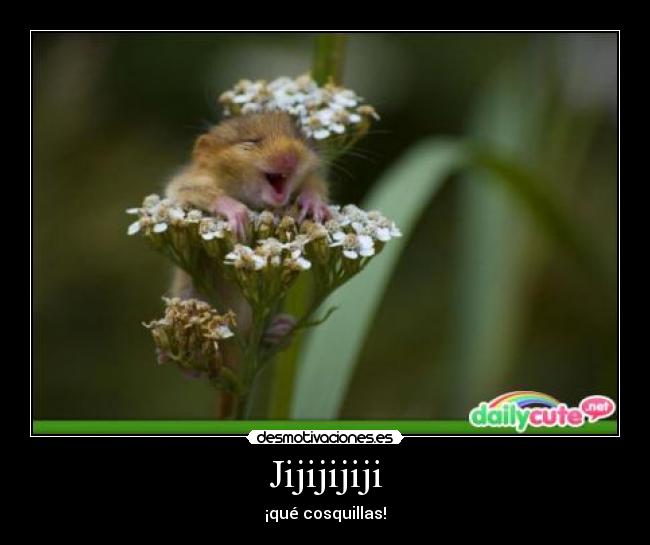 Jijijijiji - 