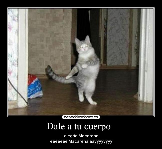 Dale a tu cuerpo - alegría Macarena
eeeeeee Macarena aayyyyyyyy