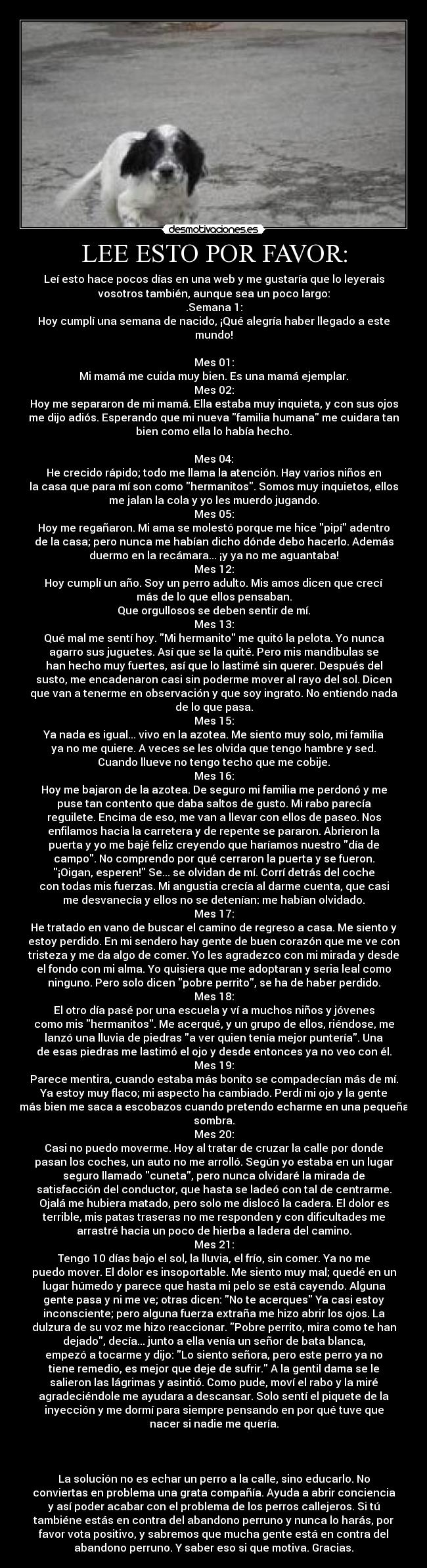 LEE ESTO POR FAVOR: - 