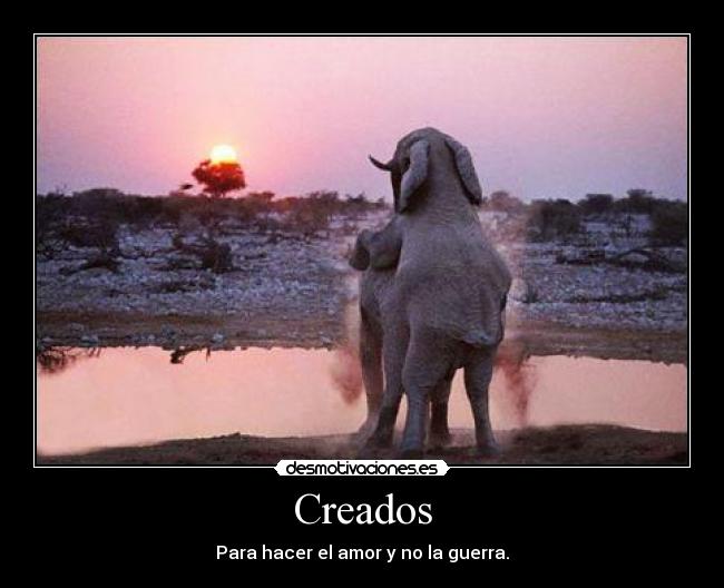 Creados - 