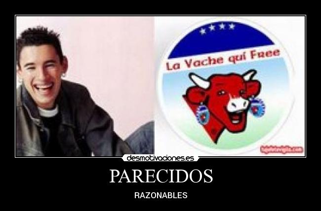 PARECIDOS - 