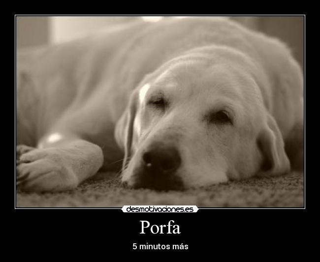 Porfa -