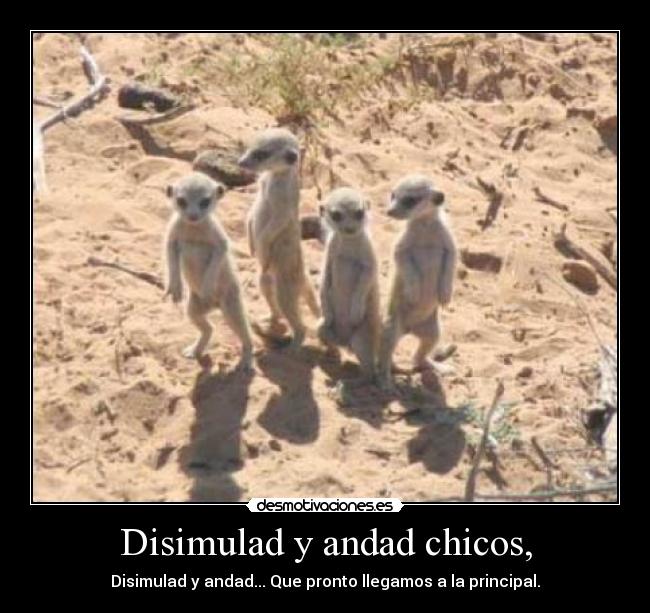 Disimulad y andad chicos, - 