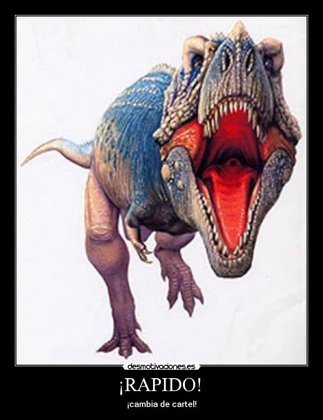 ¡RAPIDO! -
