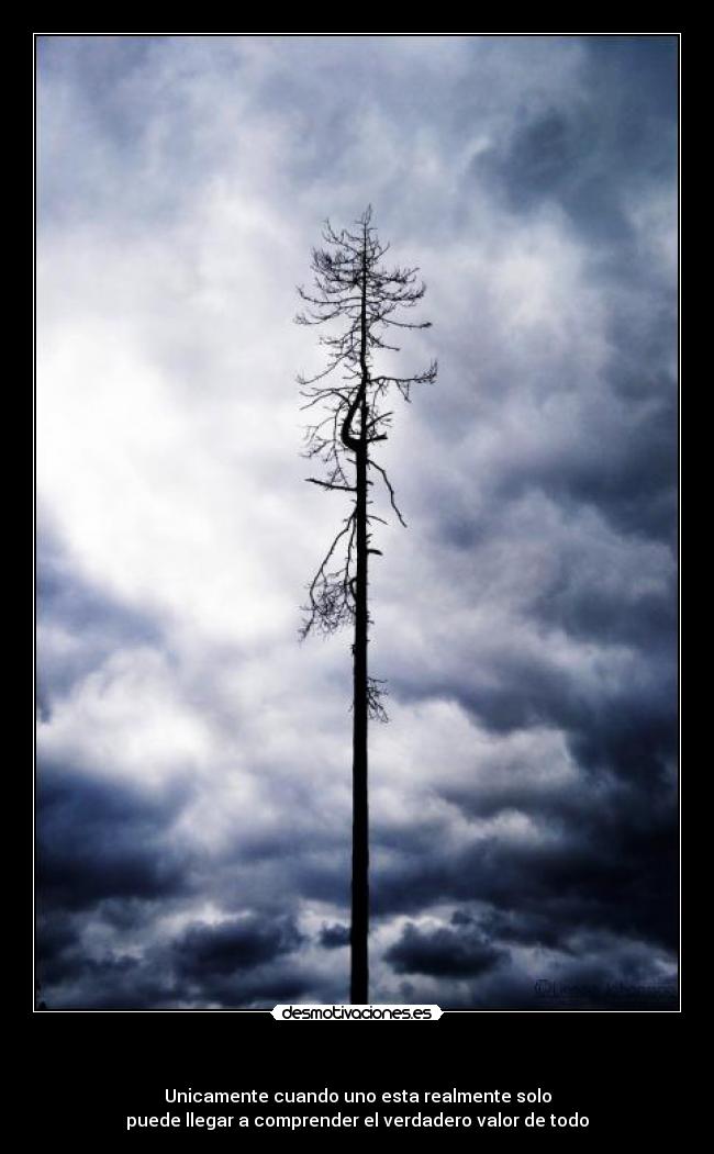 carteles unicamente cuando uno esta realmente solo puede llegar comprender verdadero valor todo desmotivaciones