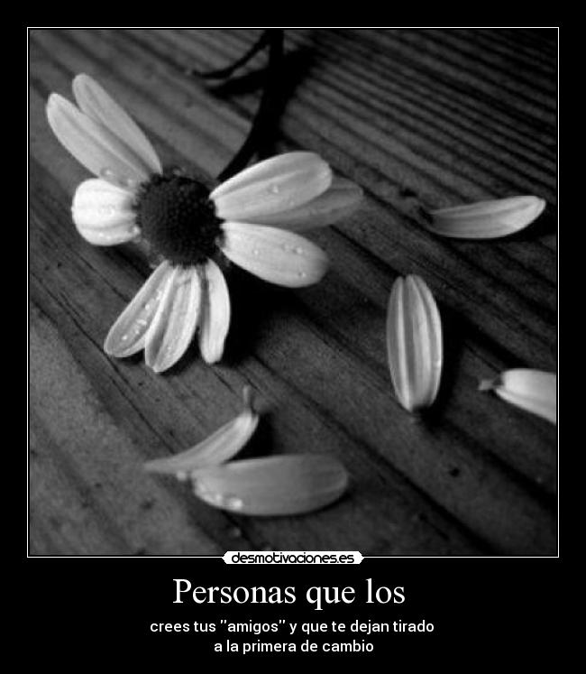 Personas que los  - 