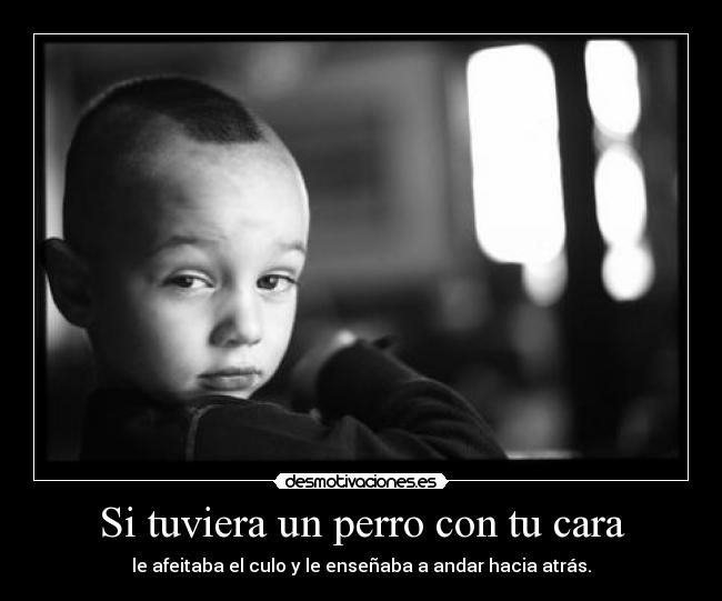 Si tuviera un perro con tu cara - le afeitaba el culo y le enseñaba a andar hacia atrás.