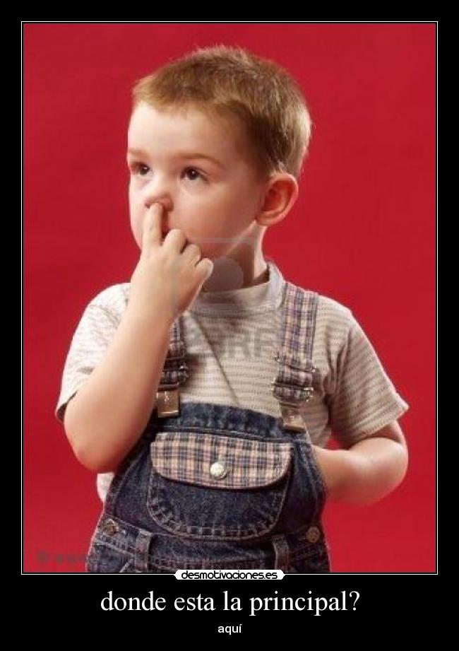 donde esta la principal? - aquí