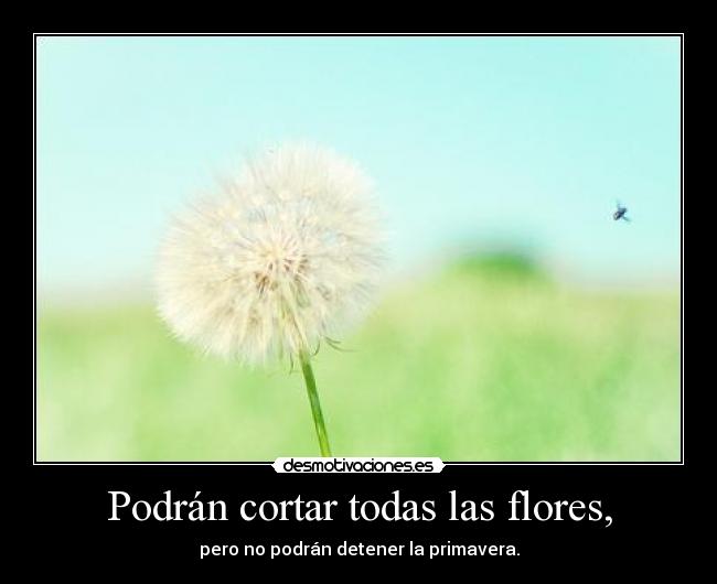 Podrán cortar todas las flores, - pero no podrán detener la primavera.