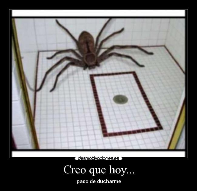 Creo que hoy... - paso de ducharme