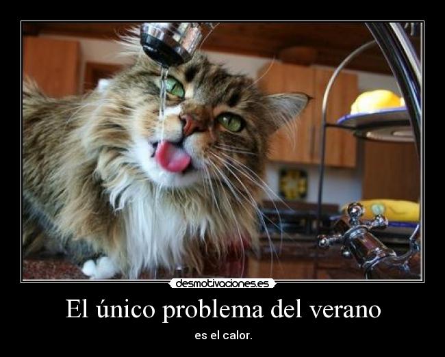 El único problema del verano - 