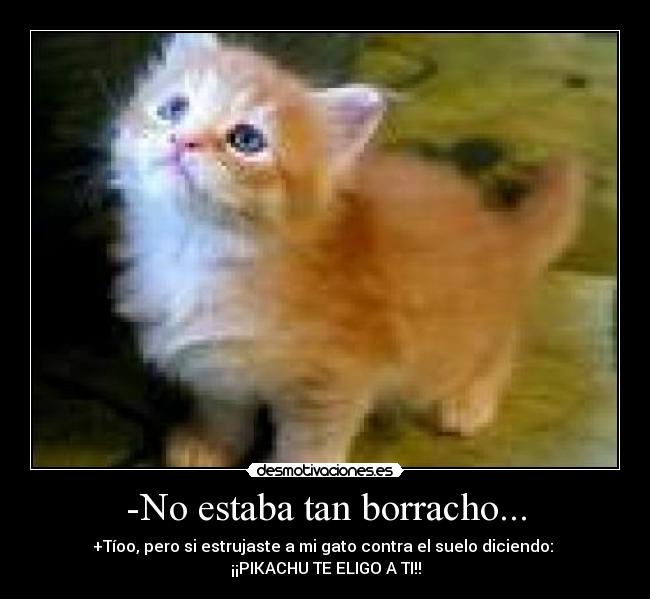 -No estaba tan borracho... - +Tíoo, pero si estrujaste a mi gato contra el suelo diciendo:
¡¡PIKACHU TE ELIGO A TI!!