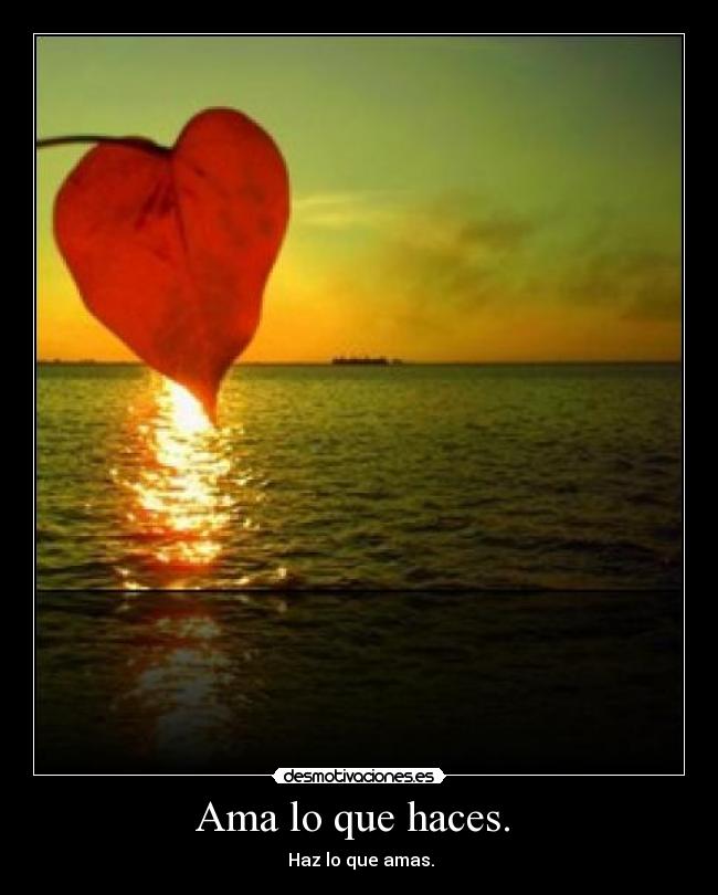 Ama lo que haces.  - 