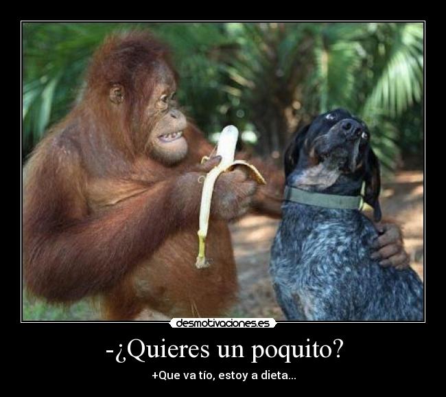 -¿Quieres un poquito? - 