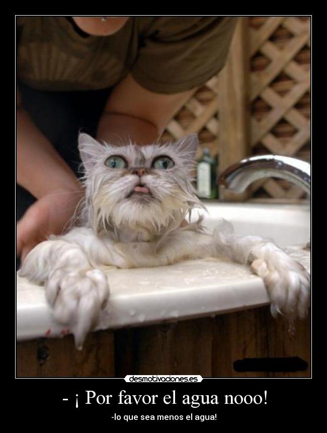 - ¡ Por favor el agua nooo! -