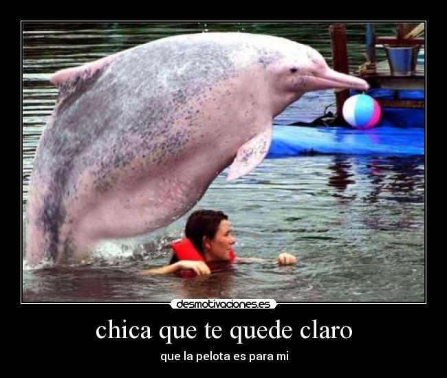 chica que te quede claro -