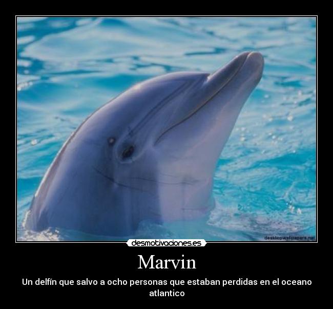 Marvin -