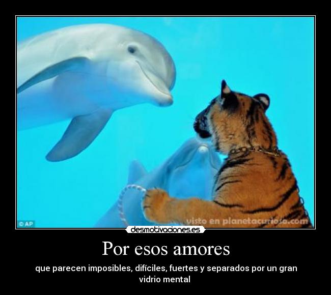 Por esos amores -