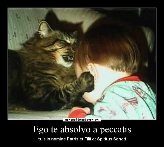 carteles gato desmotivaciones