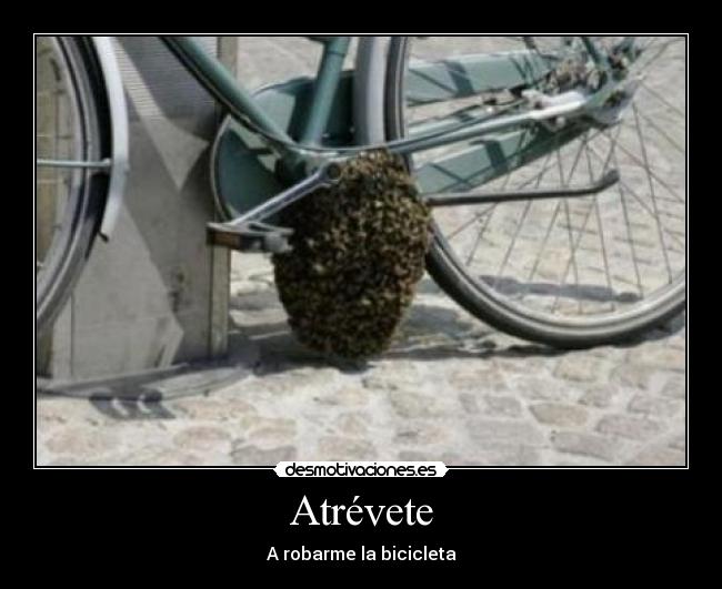 Atrévete -