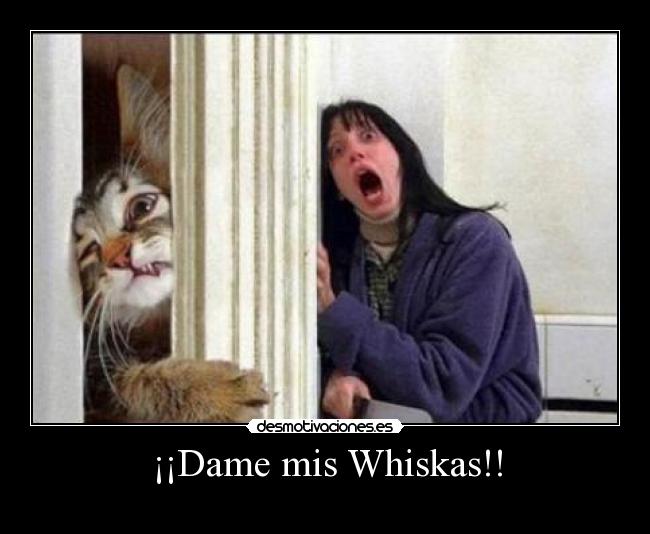 ¡¡Dame mis Whiskas!! - 