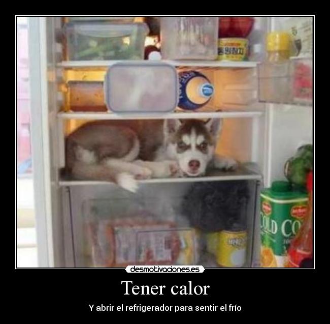 Tener calor - 