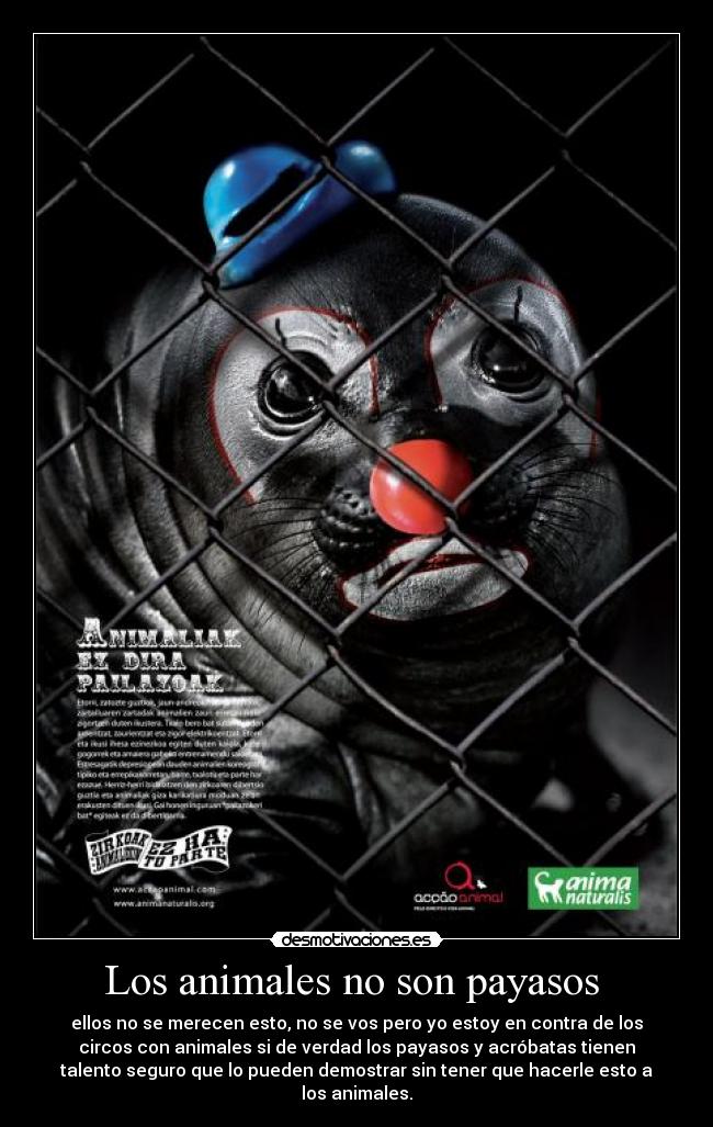 Los animales no son payasos - ellos no se merecen esto, no se vos pero yo estoy en contra de los
circos con animales si de verdad los payasos y acróbatas tienen
talento seguro que lo pueden demostrar sin tener que hacerle esto a
los animales.