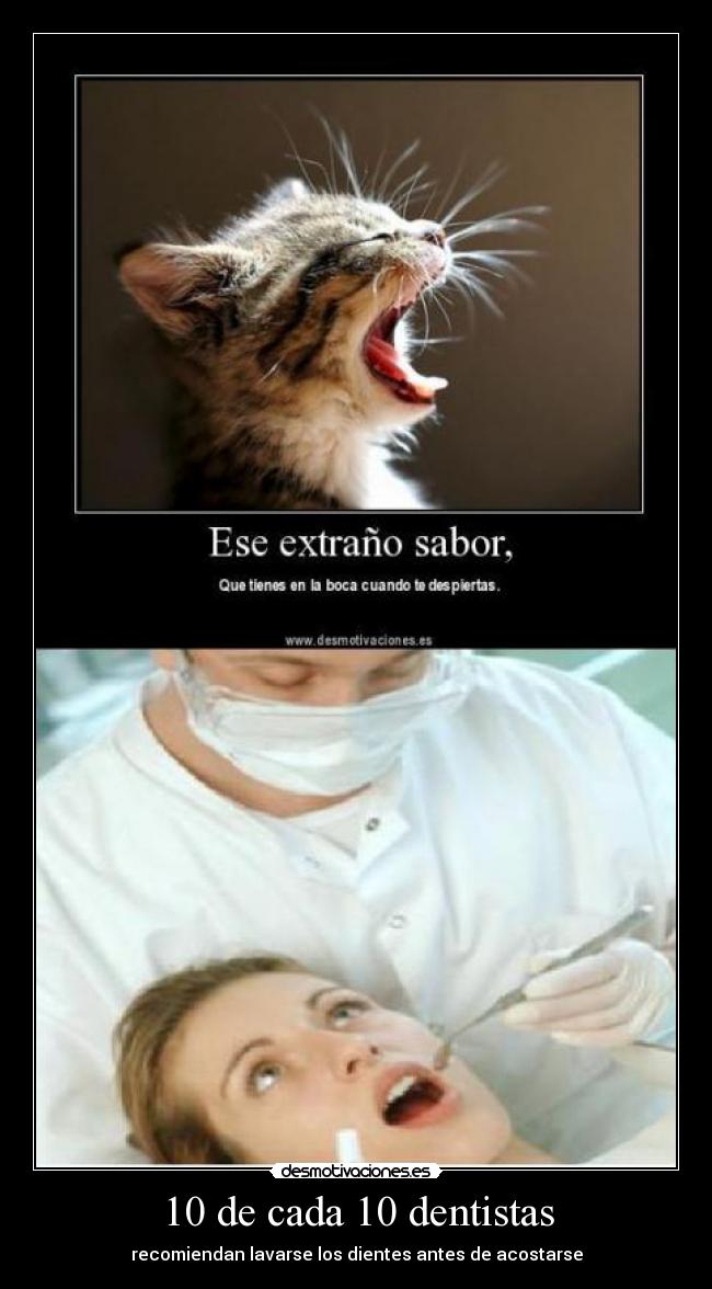 10 de cada 10 dentistas - recomiendan lavarse los dientes antes de acostarse