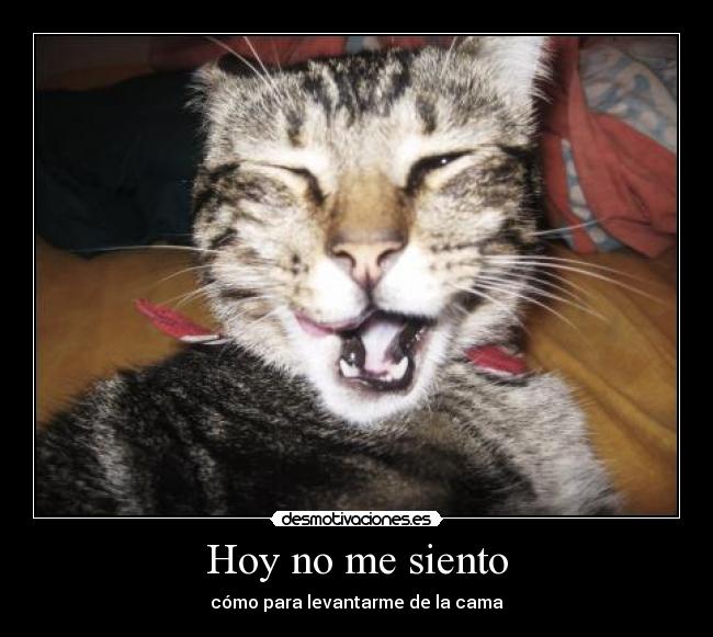 Hoy no me siento -