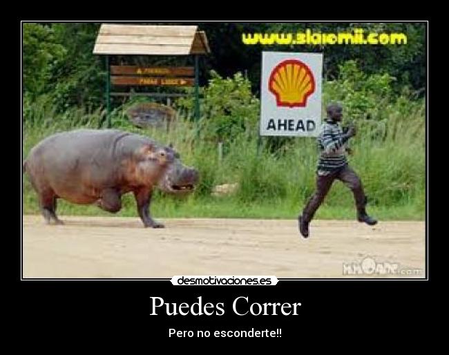 Puedes Correr - Pero no esconderte!!