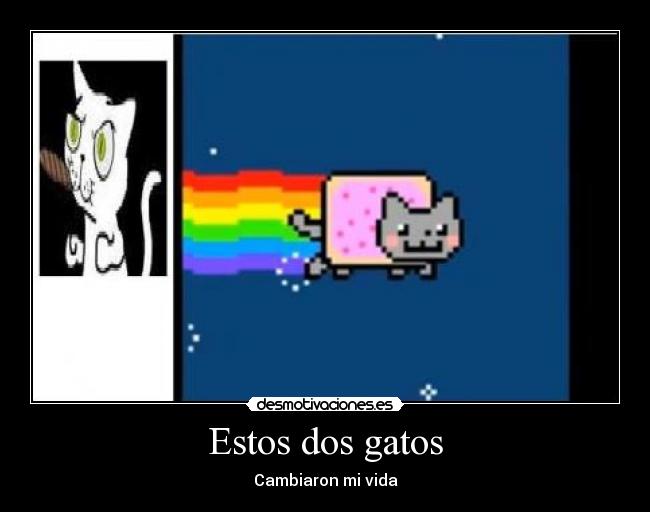Estos dos gatos - Cambiaron mi vida
