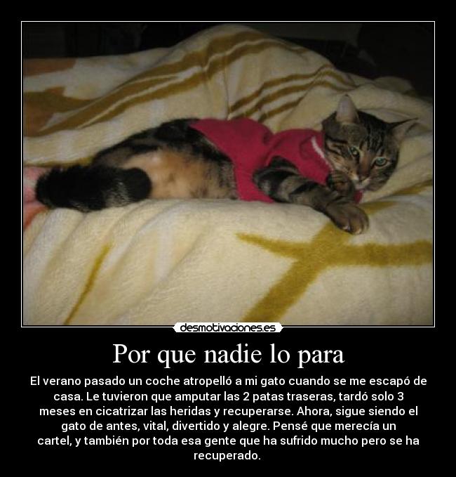 Por que nadie lo para -