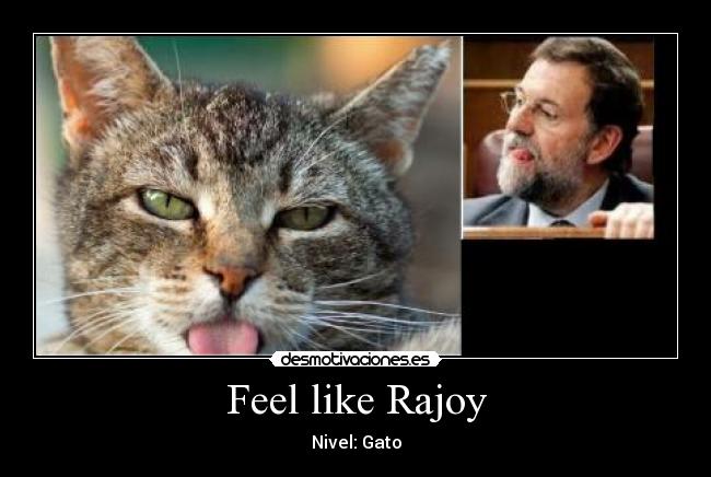 Feel like Rajoy - 