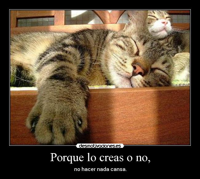 Porque lo creas o no, -