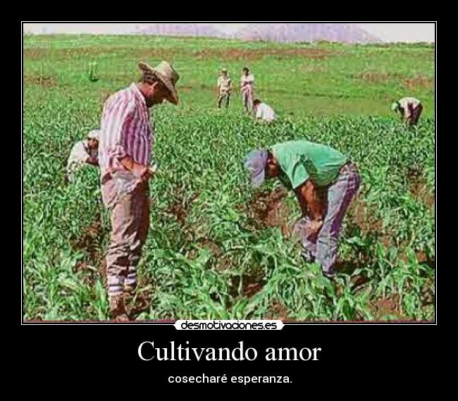 Cultivando amor - cosecharé esperanza.