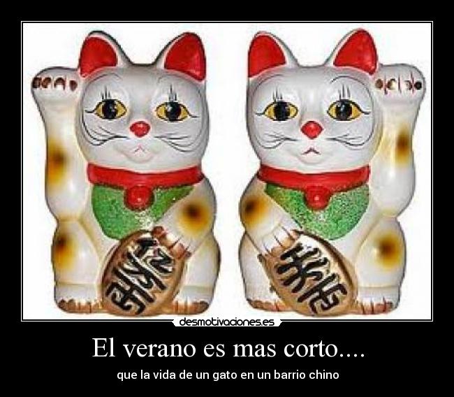 El verano es mas corto.... - que la vida de un gato en un barrio chino