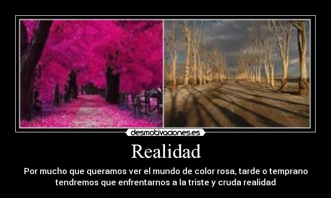 Realidad - 