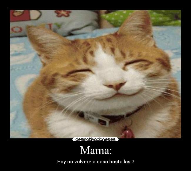 Mama: - Hoy no volveré a casa hasta las 7